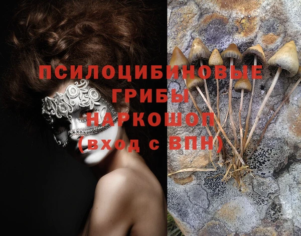 ALPHA PVP Зеленодольск