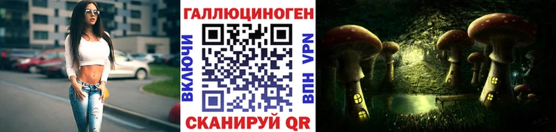 Псилоцибиновые грибы Psilocybine cubensis  магазин  наркотиков  Горно-Алтайск 